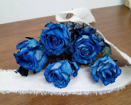 1️⃣ドライフラワー❣️訳あり スタンダードバラ 20f6e0bde39870f3c2b021972bd82a