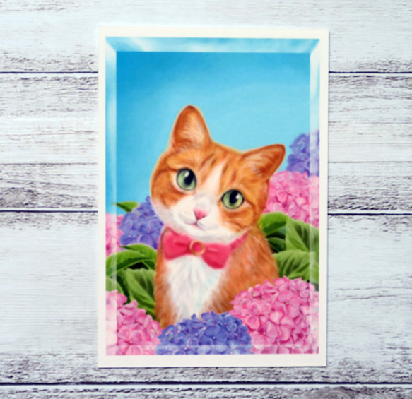 ポストカード３枚セット〈～tiédeur ～紫陽花と茶白猫〉 2枚目の画像