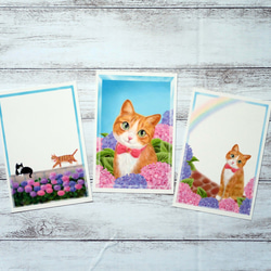 ポストカード３枚セット〈～tiédeur ～紫陽花と茶白猫〉 1枚目の画像