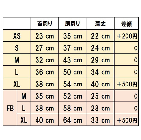  第10張的照片