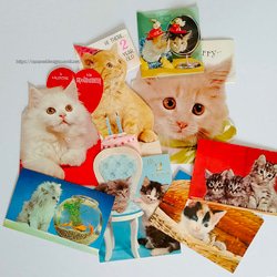 USA　ビンテージカード　猫づくし　8枚　送料無料 3枚目の画像