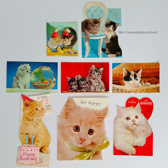 USA　ビンテージカード　猫づくし　8枚　送料無料 2枚目の画像