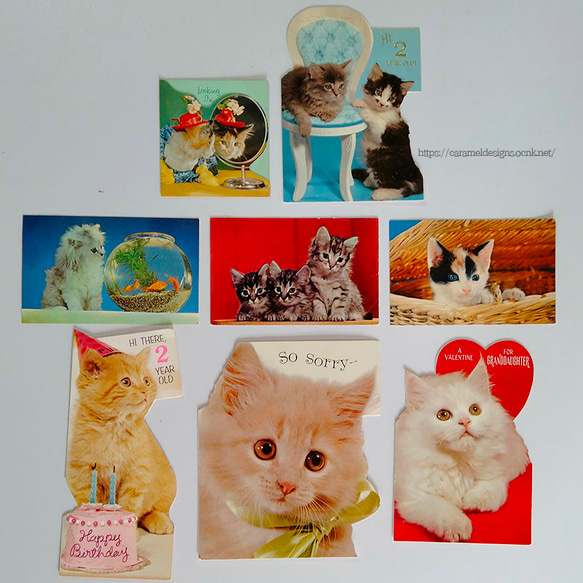 USA　ビンテージカード　猫づくし　8枚　送料無料 6枚目の画像