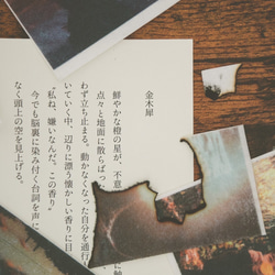 燃やす写真集『金木犀』  紙のお香と短編小説のセット 11枚目の画像