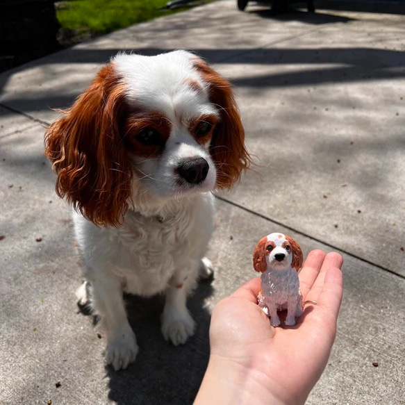 【オーダーメイド】うちの子 愛犬 愛猫 肖像画 3D 写真 似顔絵 人形 フィギュア メモリアル ペットロス ペットの 1枚目の画像