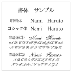 お名前入り♪ハーバリウムボールペン☆ スターフラワーデザイン 6枚目の画像