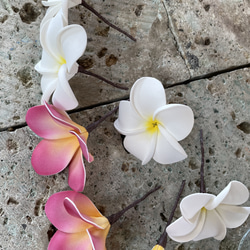 Plumeria Bouquet Ka pilina ~ Bonds and Connections ~（人造花） 第18張的照片