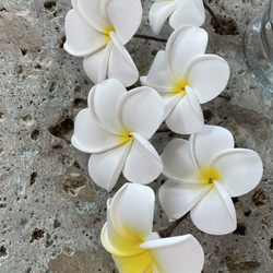 Plumeria Bouquet Ka pilina ~ Bonds and Connections ~（人造花） 第17張的照片