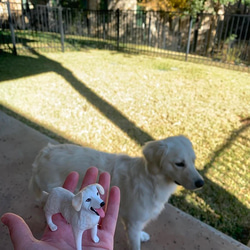【オーダーメイド】うちの子 愛犬 愛猫 肖像画 3D 写真 似顔絵 人形 フィギュア メモリアル ペットロス ペットの 1枚目の画像