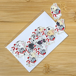 ポケモンセンター My151キャンペーン 当選品 ファイル