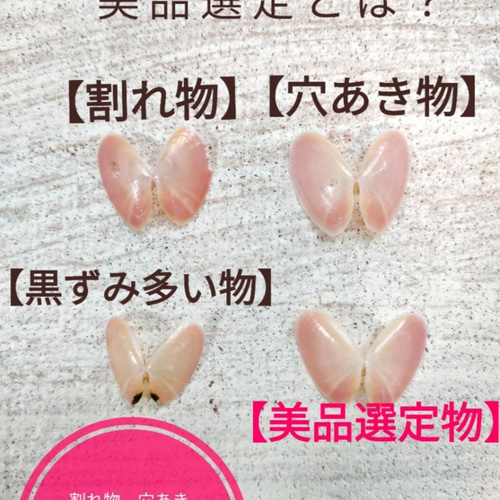 桜貝さん専用ページ　二個セット 石川県産】幸せを呼ぶさくら貝 ☆お試しセット