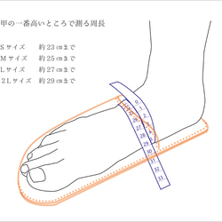  第11張的照片