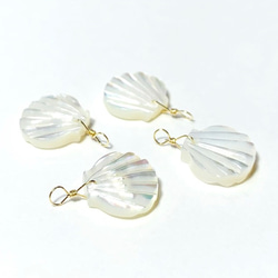 天然白蝶貝 シェル皿 25枚セット インテリア装飾用 天然白蝶貝 シェル皿 25枚セット インテリア装飾用 楽天市場】天然パール