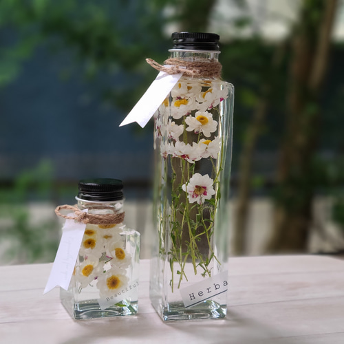 花かんざしとミモザのハーバリウム　2本セット 花かんざしとミモザのハーバリウム 2本セット 花かんざしとミモザの