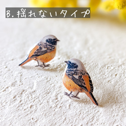 【受注制作】2タイプから選べるジョウビタキの樹脂ピアス　イヤリング 7枚目の画像