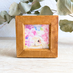 3df9c26585149aac9a1e2f977c24ee