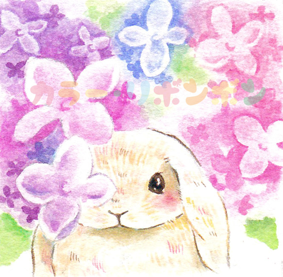 絵画。原画【手の中の紫色のアサガオ、かわいい黒猫とウサギ】 絵画。原画【手の中の紫色のアサガオ、かわいい黒猫とウサギ】