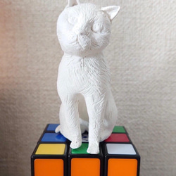 83ab719409e80ba9cb2a99030ac453