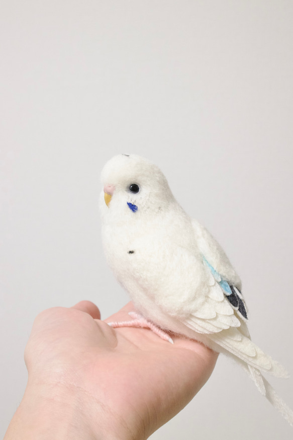 🦜♡ #羊毛フェルト #セキセイインコ #インコ #小鳥 #羊毛