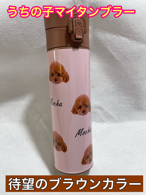 販売終了　マイタンブラー【オリジナル商品】　うちの子　缶　ペットグッズ　犬　猫　鏡　 3枚目の画像