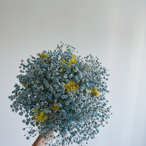 新品 未使用 ドライフラワー リース スワッグ かすみ草 【ご予約】 flower cloud 