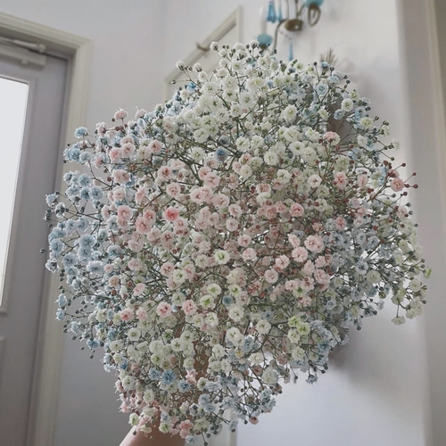 flower cloud 