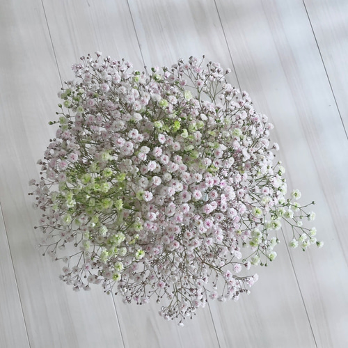 flower cloud 