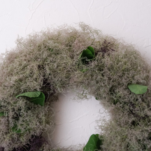 SALE スモークツリー フルリース スモークツリーリース | STORES