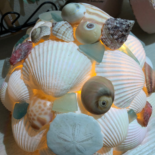 シェルランプ シェルシェードランプ スタンドライト・テーブルランプ  