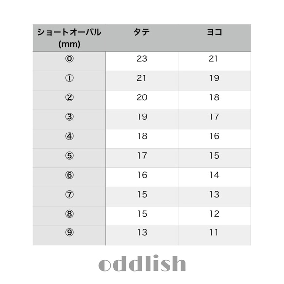 サイズ確認用チップ 4枚目の画像