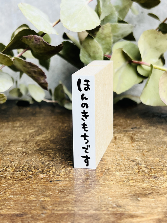 縦書き「ほんのきもちです」文字はんこ【12㎜×50㎜】＊ラバースタンプ＊R693_o 2枚目の画像