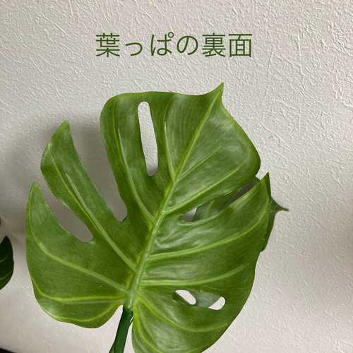 人工観葉植物 モンステラ 約152cm 不二貿易 フェイクグリーン 人工 観葉植物 フェイク グリーン モンステラ H約205cm 大型 店舗 装飾