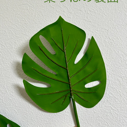 [送料込み] モンステラ N4フェイクグリーン　73cm　人工観葉植物　 5枚目の画像