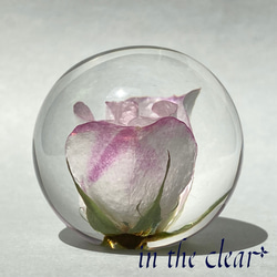 植物標本　薔薇　ピンク　レジン　4センチ球体 2枚目の画像