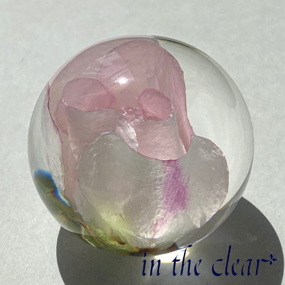 植物標本　薔薇　ピンク　レジン　4センチ球体 4枚目の画像