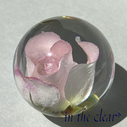 植物標本　薔薇　ピンク　レジン　4センチ球体 1枚目の画像