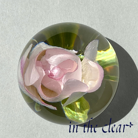 植物標本　薔薇　ピンク　レジン　4センチ球体 3枚目の画像