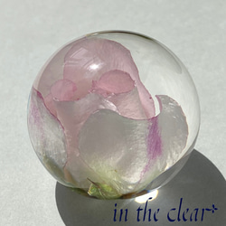 植物標本　薔薇　ピンク　レジン　4センチ球体 6枚目の画像