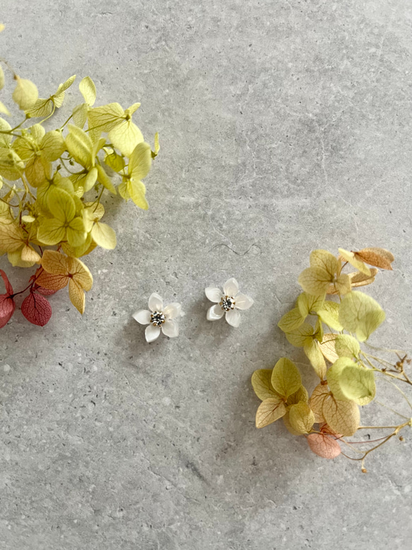 Little  Flower＊(花弁5)＊ノンホールピアスorピアスorクリップイヤリング　White 5枚目の画像