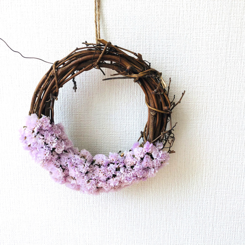 5.スターチスハーフリース