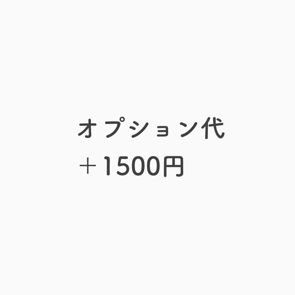 オプション＋1500円 1枚目の画像