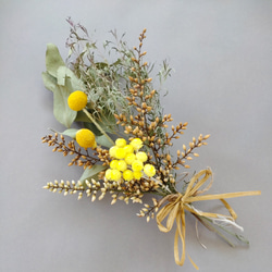 ネイティブフラワー＊スモークツリーと＊ミモザ＊ドライフラワー