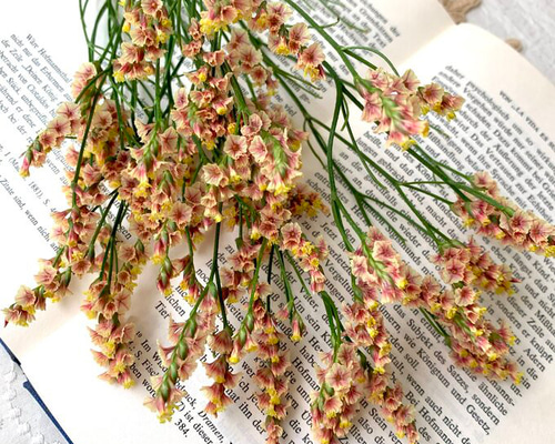 レアです！くすみオレンジのハイブリットスターチス 花材 ハンドメイド