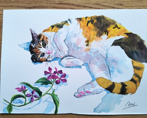 fe00df8221ff30a7223acddf52571d