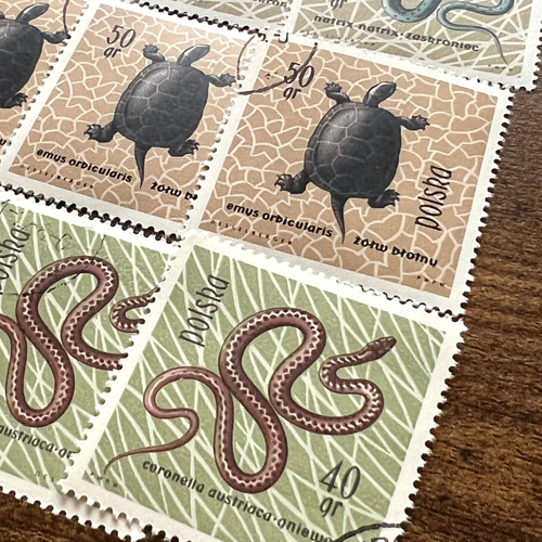 2467 外国切手 ポーランド 1969年 犬々 シーズ 8種 未使用 2467 外国切手 ポーランド 1969年 犬々 シーズ 8種 未使用