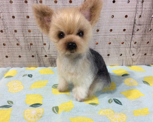 ヨークシャーテリア】お座り 羊毛フェルト コーギー大好きママ 通販