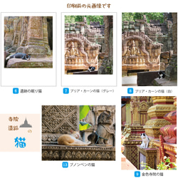 ポストカード（ばら売り）寺院・遺跡の犬猫 5枚目の画像