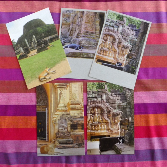 ポストカード（ばら売り）寺院・遺跡の犬猫 4枚目の画像