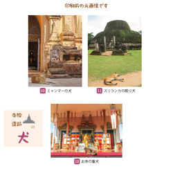 ポストカード（ばら売り）寺院・遺跡の犬猫 6枚目の画像