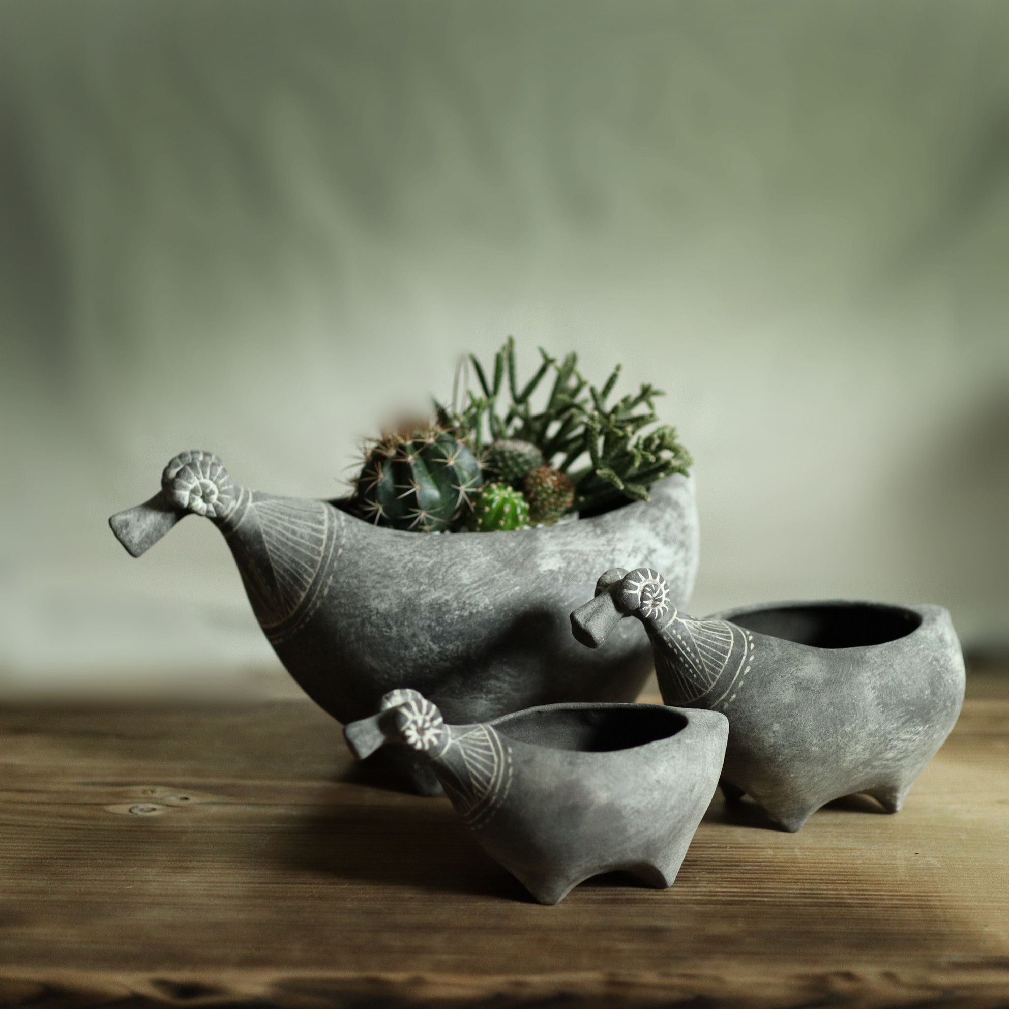 黒ひつじ / （大）植木鉢